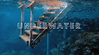 Relaxing Classical Music | Underwater Beautiful Scenes 🐠