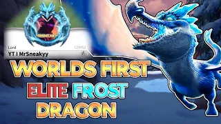 ULTIMATE GUIDE to Frost Dragon! Full Tanking & DPS Mechanics Explained! Season 2