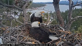 FOBBV Eagles 🦅 Fresh fish🐟 4 Jackie = Egg 🥚🥚🥚 time 4 Shadow 🦅2024 Feb 25