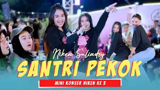 Niken Salindry - SANTRI PEKOK (Official Music Video ANEKA SAFARI)