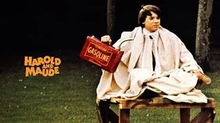 Harold and Maude (1971) Movie Review and Discussion