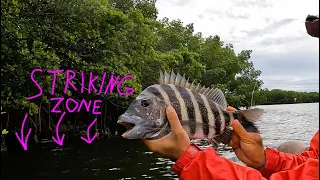 Fishing The Best Spot in TAMPA BAY for Sheepshead 🔥🔥