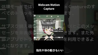 Webcam Motion Captureの体験版を使ってみた