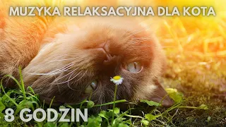 #68😺Muzyka relaksacyjna która spowoduje, że twój kot zaśnie na 100 % 😺KOŁYSANKA DLA KOTA