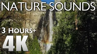 3 HOURS RELAXATION #4 Yosemite Nature Sounds Waterfalls & Birds Singing - Bridalveil Fall