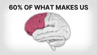 Frontal Lobe Explained in 2 minutes