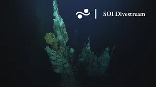 SOI Divestream S0491 | Vent Communities of Puy des Folles Seamount