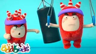 Latihan Untuk Permainan Crossfit Penuh Aksi! | Oddbods | Kartun Lucu Untuk Kanak