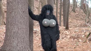 BIGFOOT'S BABY MAMA  CAUGHT ON TAPE