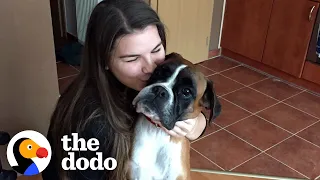 Skinny Shelter Dog Has The Happiest Transformation | The Dodo Foster Diaries