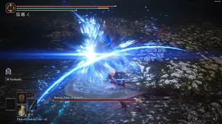 Vergil Vs Malenia - Elden Ring 165 FPS - Vergil Entered The Wrong Game