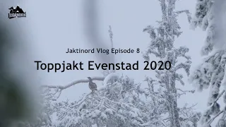 Jaktinord Vlog episode 8 Toppjakt Evenstad 2020