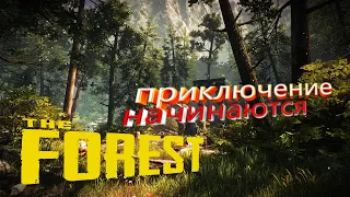 #1 The Forest "Приколы, Фейлы"