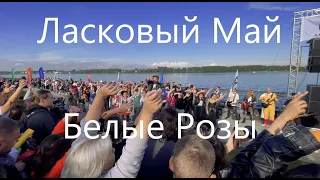 Ласковый Май - Белые Розы. Rock-n-mob Ярославль, 400+ музыкантов