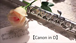 【Canon in D】 (Pachelbel's Canon) - Flute and Harp 【卡农】 长笛 竖琴伴奏