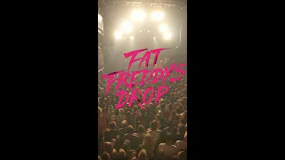 Fat Freddy's Drop PAARD Aftermovie