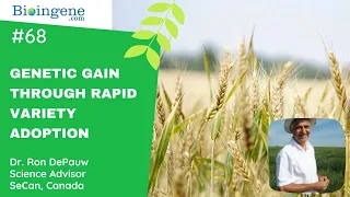 International Webinar on Advancing Genetic Gain Through Rapid Variety Adoption