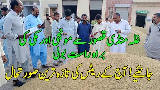 Today Paddy, Maize Rates Galla Mandi Kasur Ellah Abad | Dhan ke Rate | Live boli 2023