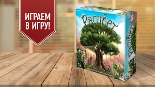 РАСЦВЕТ | Возродим жизнь в долине! | Играем в настольную игру