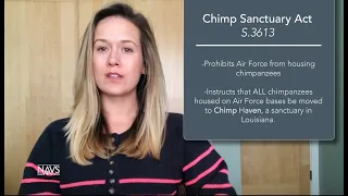 Chimp Sanctuary Act