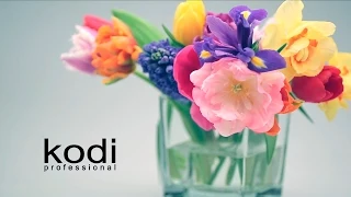 Весна с Kodi Professional