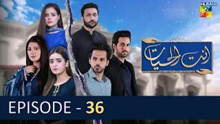 Antul Hayat - Episode 36 | 5th Sep 2022 | Presented by AMIR DRAMAS TV