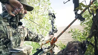 Saddle Hunting Mule Deer