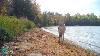 Six days on a beach in northern Minnesota