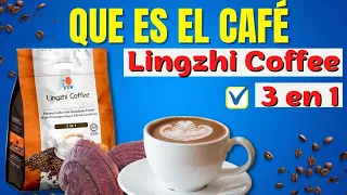 Lingzhi Coffee 3 en 1 ¿Que es? ¿Donde comprar el Café Lingzhi Coffee 3 en 1? ¿Beneficios?