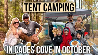 Camping Inside CADES COVE | Smoky Mountain National Park Primitive Camping October | Pangani Tribe