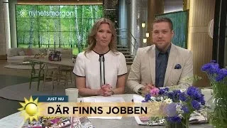 Jobben som är lättast och svårast att få - Nyhetsmorgon (TV4)