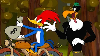 Who Will Win The Prize Money? | Woody Woodpecker