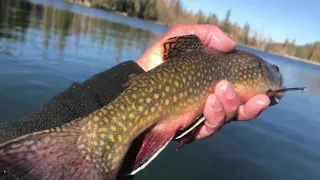 Boulder Mountain Lakes