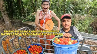 PAMIMIGAY NATIN NG KAMATIS