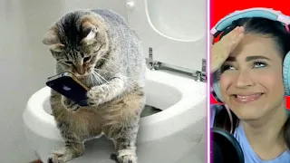 Adorables Animales de TikTok que te harán Reír