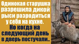 Одинокая старушка разрешила дикой рыси разродиться у себя на кухне. Но когда на следующий день...