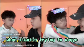 [Engsub] Xiaoxin aegyo to brother-in-law || Lai Jiaxin & Li Jiahua || Gay Couple
