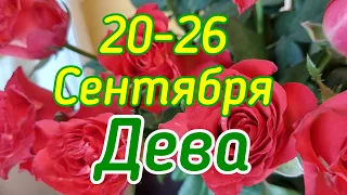 Дева. Таро Прогноз с 20 по 26 Сентября 2021