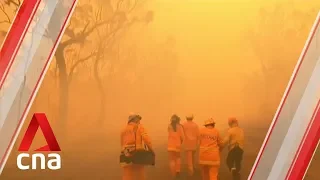 Emergency warnings issued as bushfires combine to form giant blaze in north of Sydney