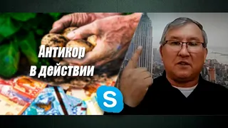 Коррупционная тайна «дойных бычков»