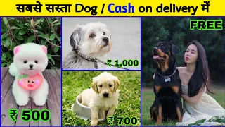 Cheapest Dog market in india | free dog delivery all india | cheap price dog | Shih Tzu dog Labrador