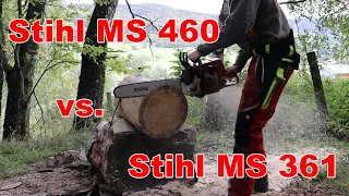 Stihl MS 361 vs Stihl MS 460 | Schnittvergleich | HBNB-Motorsägen