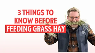 3 Things To Know Before Feeding Grass Hay