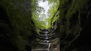 Starved Rock State Park Illinois - hiking road trip with kids