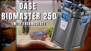 UNBOXING AND ASSEMBLING THE FILTER OASE BIOMASTER 250 FOR RAINBOW'S TANK (with thermostat)