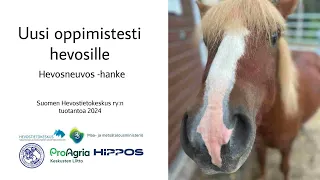 Hevosneuvos: Uusi oppimistesti hevosille - Tuire Kaimio ja Mira Hämäläinen