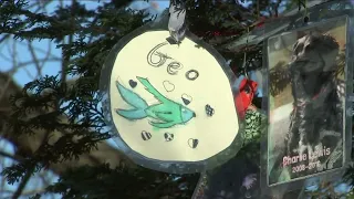 Pets remembered at secret Central Park tree