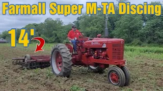 Farmall Super M-TA Discing with an International 370 Disc 14'