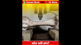 BONE 🦴 vs Hydraulic Press #shorts #viral