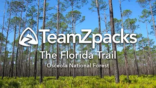 The Florida Trail - Osceola NF Section Hike w/ Zpacks